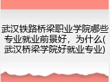武汉铁路桥梁职业学院哪些专业就业前景好，为什么(武汉桥梁学院好就业专业)