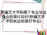 新疆艺术学院哪个专业毕业就业前景比较好(新疆艺术学院就业前景好专业)
