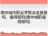 南京城市职业学院含金量量吗，值得报吗(南京城职值得报吗)