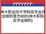 神木职业技术学院奖学金评定细则是怎样的(神木职院奖学金细则)
