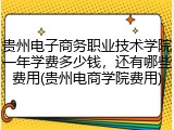 贵州电子商务职业技术学院一年学费多少钱，还有哪些费用(贵州电商学院费用)