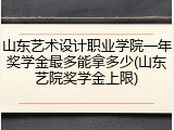 山东艺术设计职业学院一年奖学金最多能拿多少(山东艺院奖学金上限)