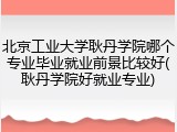 北京工业大学耿丹学院哪个专业毕业就业前景比较好(耿丹学院好就业专业)