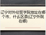 辽宁对外经贸学院地址在哪个市，什么区县(辽宁外院在哪)