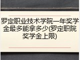 罗定职业技术学院一年奖学金最多能拿多少(罗定职院奖学金上限)
