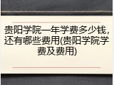贵阳学院一年学费多少钱，还有哪些费用(贵阳学院学费及费用)