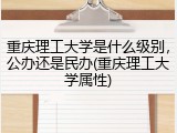 重庆理工大学是什么级别，公办还是民办(重庆理工大学属性)