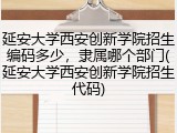 延安大学西安创新学院招生编码多少，隶属哪个部门(延安大学西安创新学院招生代码)