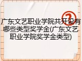 广东文艺职业学院共开设有哪些类型奖学金(广东文艺职业学院奖学金类型)