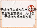 无锡师范高等专科学校哪些专业就业前景好，为什么(无锡师专好就业专业)