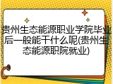 贵州生态能源职业学院毕业后一般能干什么呢(贵州生态能源职院就业)