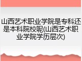 山西艺术职业学院是专科还是本科院校呢(山西艺术职业学院学历层次)