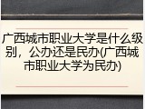 广西城市职业大学是什么级别，公办还是民办(广西城市职业大学为民办)