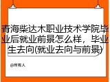 青海柴达木职业技术学院毕业后就业前景怎么样，毕业生去向(就业去向与前景)