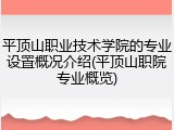 平顶山职业技术学院的专业设置概况介绍(平顶山职院专业概览)