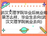 武汉文理学院毕业后就业前景怎么样，毕业生去向(武汉文理学院就业去向)