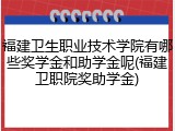 福建卫生职业技术学院有哪些奖学金和助学金呢(福建卫职院奖助学金)