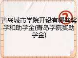 青岛城市学院开设有哪些奖学和助学金(青岛学院奖助学金)