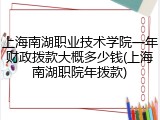 上海南湖职业技术学院一年财政拨款大概多少钱(上海南湖职院年拨款)
