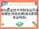 湖北职业技术学院专业开设有哪些,特色在哪(湖北职院专业特色)