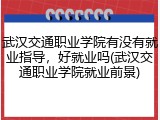 武汉交通职业学院有没有就业指导，好就业吗(武汉交通职业学院就业前景)