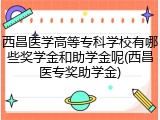 西昌医学高等专科学校有哪些奖学金和助学金呢(西昌医专奖助学金)