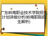 广东岭南职业技术学院招生计划详细分析(岭南职院招生解析)