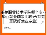 莱芜职业技术学院哪个专业毕业就业前景比较好(莱芜职院好就业专业)