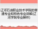 辽河石油职业技术学院的普通专业和特色专业详解(辽河学院专业解析)