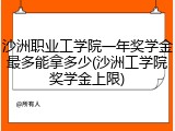 沙洲职业工学院一年奖学金最多能拿多少(沙洲工学院奖学金上限)