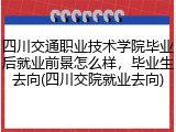 四川交通职业技术学院毕业后就业前景怎么样，毕业生去向(四川交院就业去向)