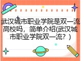 武汉城市职业学院是双一流高校吗，简单介绍(武汉城市职业学院双一流？)