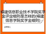 福建信息职业技术学院奖学金评定细则是怎样的(福建信息学院奖学金细则)