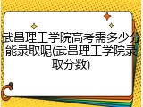 武昌理工学院高考需多少分能录取呢(武昌理工学院录取分数)