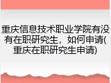 重庆信息技术职业学院有没有在职研究生，如何申请(重庆在职研究生申请)