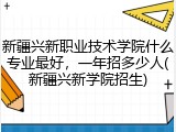 新疆兴新职业技术学院什么专业最好，一年招多少人(新疆兴新学院招生)