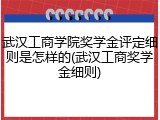 武汉工商学院奖学金评定细则是怎样的(武汉工商奖学金细则)