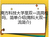 南方科技大学是双一流高校吗，简单介绍(南科大双一流简介)