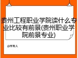 贵州工程职业学院读什么专业比较有前景(贵州职业学院前景专业)
