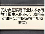 民办合肥滨湖职业技术学院每年招生人数多少，政策变动如何(合滨职院招生规模政策)