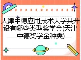 天津中德应用技术大学共开设有哪些类型奖学金(天津中德奖学金种类)