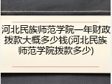 河北民族师范学院一年财政拨款大概多少钱(河北民族师范学院拨款多少)