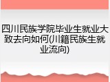 四川民族学院毕业生就业大致去向如何(川籍民族生就业流向)
