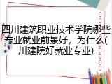 四川建筑职业技术学院哪些专业就业前景好，为什么(川建院好就业专业)