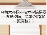 乌鲁木齐职业技术学院是双一流高校吗，简单介绍(双一流高校？)