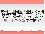 苏州工业园区职业技术学院是否有双学位，为什么(苏州工业园区双学位情况)