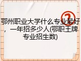 鄂州职业大学什么专业最好，一年招多少人(鄂职王牌专业招生数)