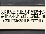 沈阳航空职业技术学院什么专业就业比较好，原因是啥(沈阳航院就业优势专业)