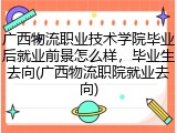 广西物流职业技术学院毕业后就业前景怎么样，毕业生去向(广西物流职院就业去向)