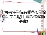 上海兴伟学院有哪些奖学金和助学金呢(上海兴伟奖助学金)